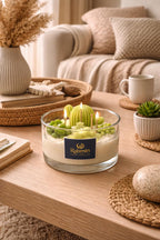 Rabmin Aura Luxury Cactus Garden Candle – Artisan Succulent Soy Wax Candle in Elegant Glass Jar, Long Lasting Clean Burn Home Fragrance Décor